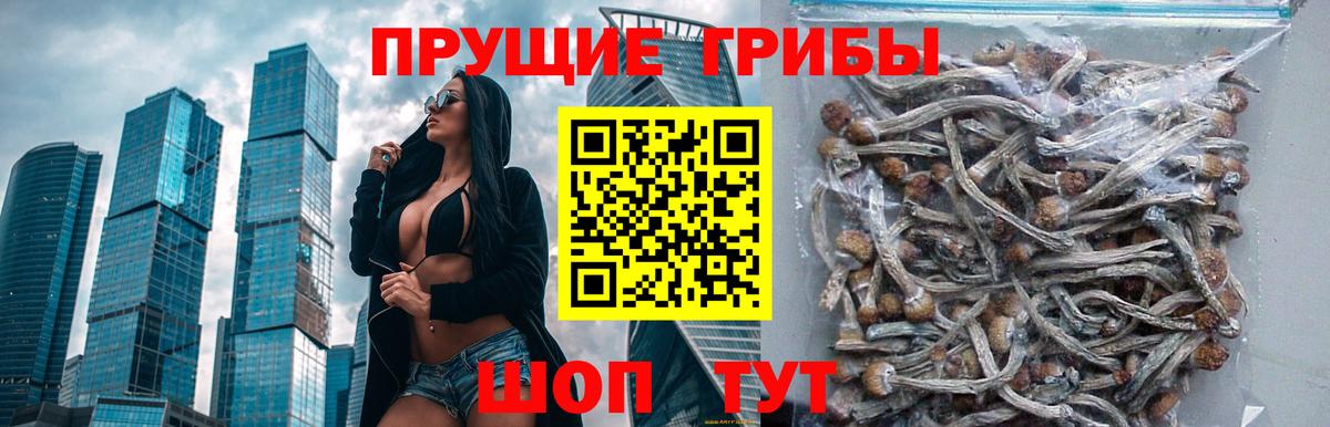 Галлюциногенные грибы мицелий  Вход с VPN  цена   Батайск  Псилоцибиновые грибы мицелий 